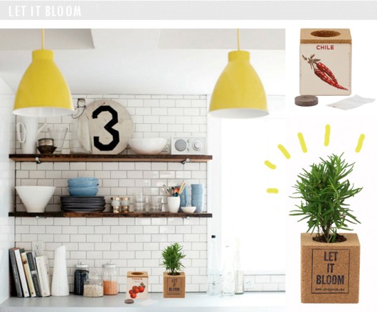 drbloom-plantas-021