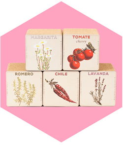 plantas_c2_1