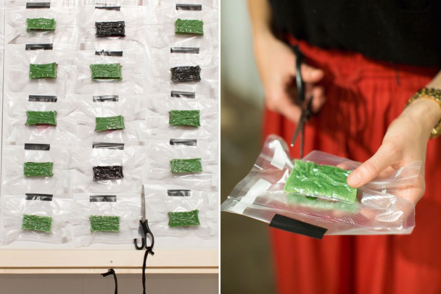 elsa-yranzo_artfood-arash-nassiri_6-1024x683