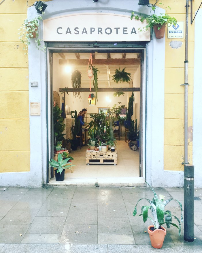 Casa Protea 2