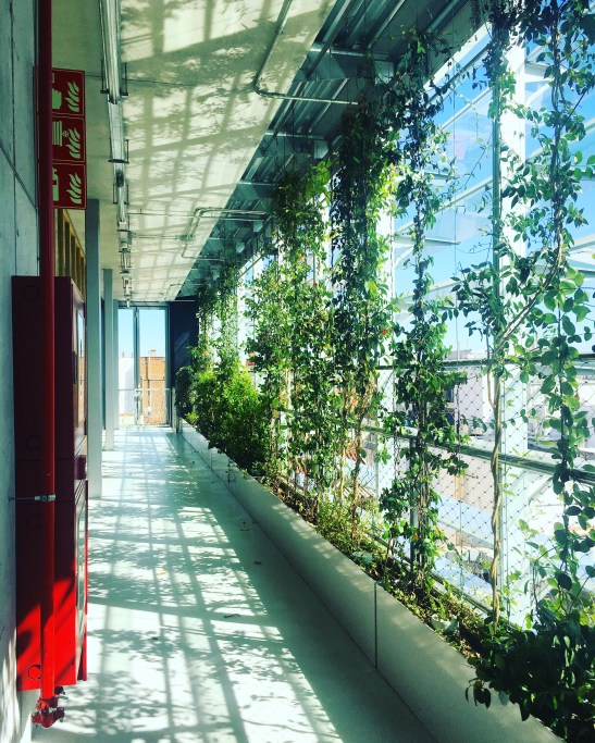 Vil·la Urania Bcn Last Call 1