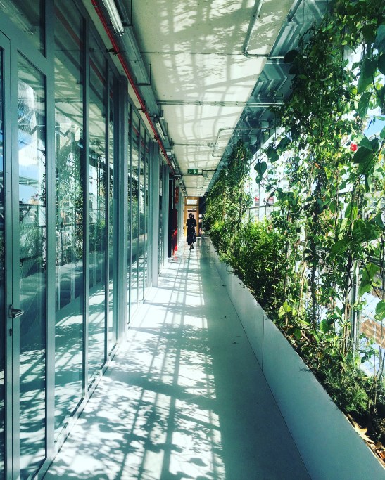 Vil·la Urania Bcn Last Call 5